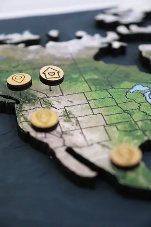 Geo Optik wood and cork world map
