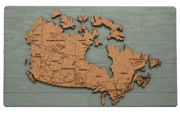 Canada World Pin Map 24" x 14"