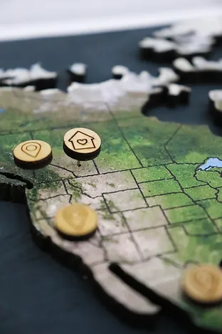 Geo Optik wood and cork world map