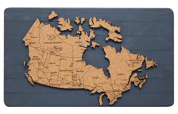 Canada World Pin Map 24" x 14"