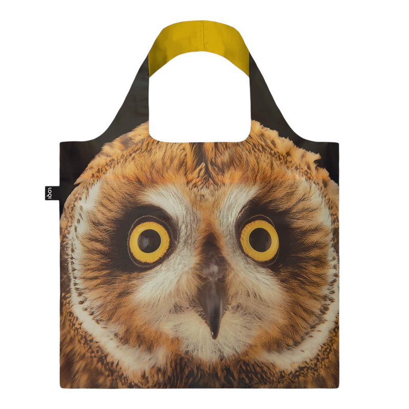 national geography owl tote