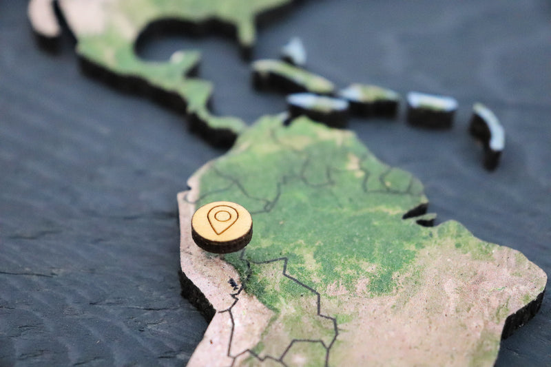 Geo Optik World Pin Map | Wood + Cork (Canada)