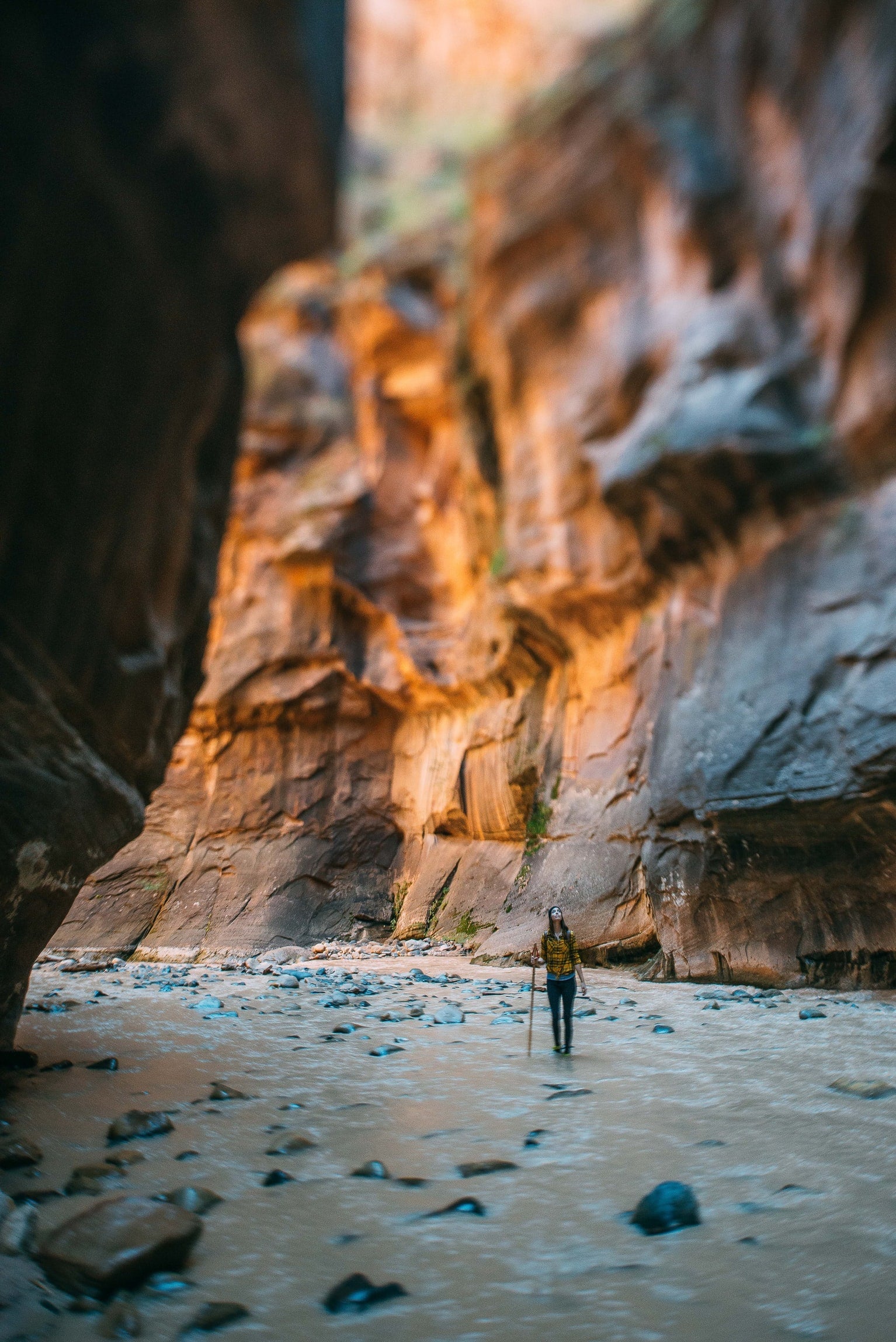 Wanderlust Tribe